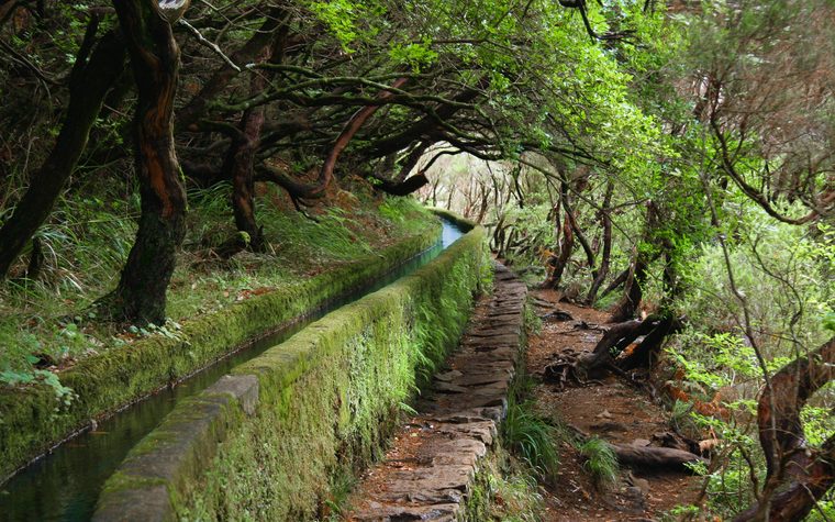 Madeira Garden Resort, Funchal