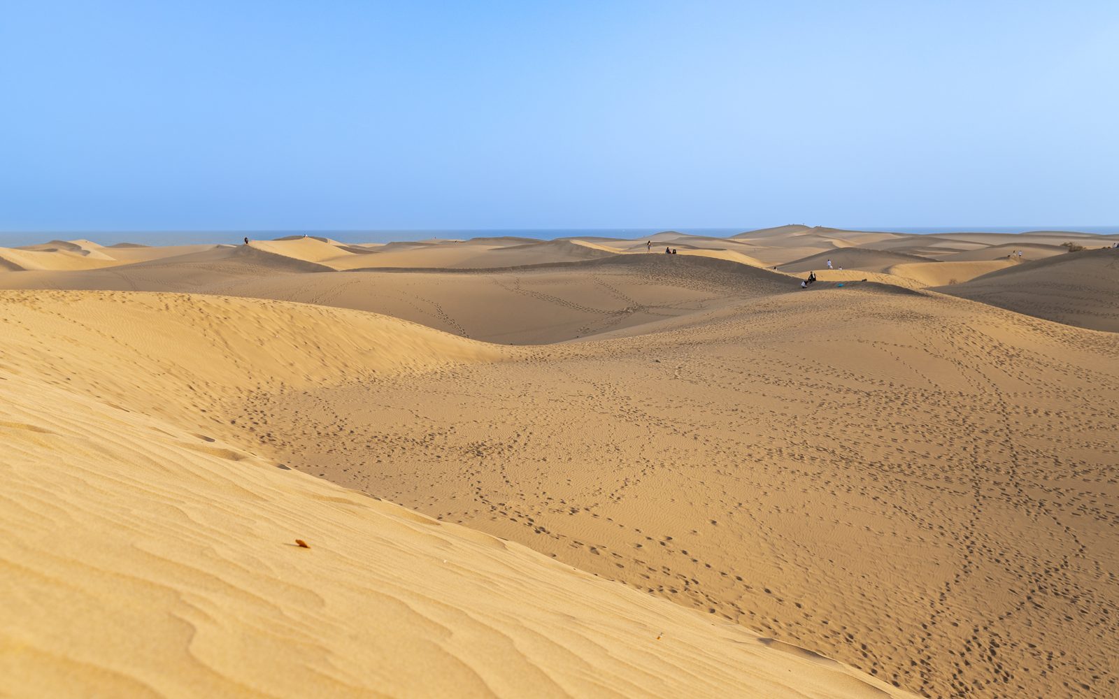 Dunes Boutique Gran Canaria in Maspalomas